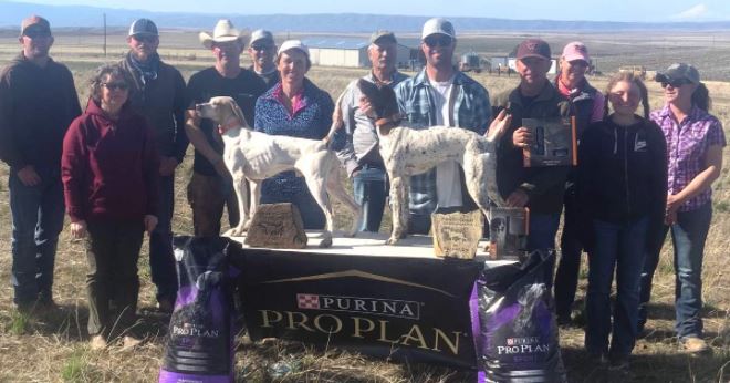 Pacific Coast Open Shooting Dog Winners