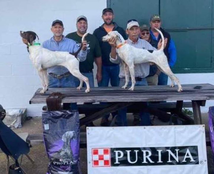 Region 1 Amateur Shooting Dog Championship