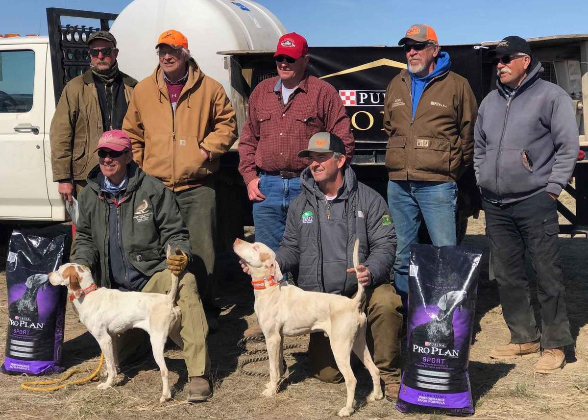 Region 14 Amateur Shooting Dog Championship