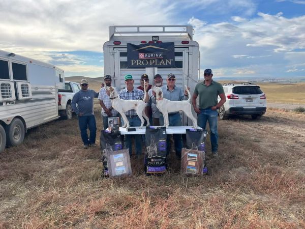 Region 9 Amateur SD ChF25