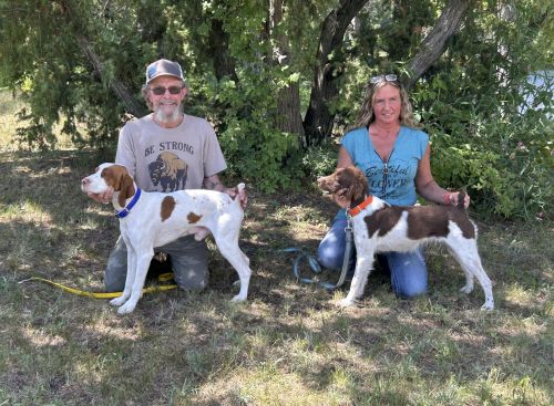 RestrictedS26