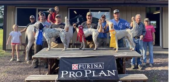 Amateur shooting dog winners