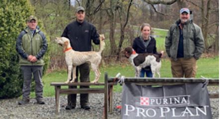 Amateur Puppy Winners. From left: Super Storm Cliff with Thor Kain and Whiskey's Tea Cup owned by Sam Adams. Behind: Judges Tom Davis and Marty Festa