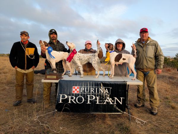 Setter Club of NE FoggS26--