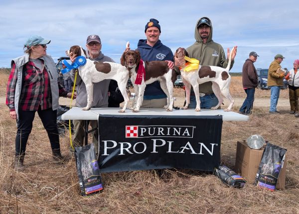 Setter Club of NE OPS26-
