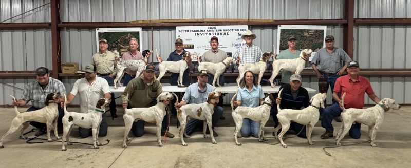 South Carolina Inv Twelve dogsS26