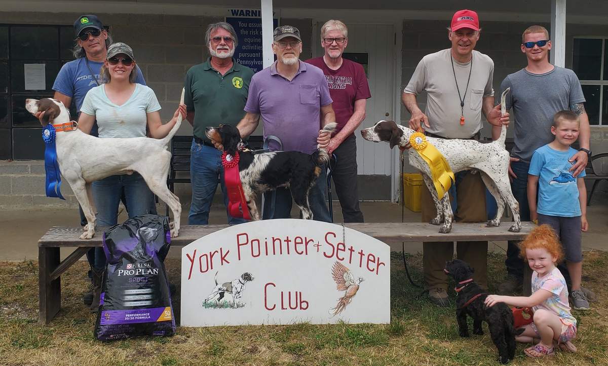 Open Shooting Dog Winners