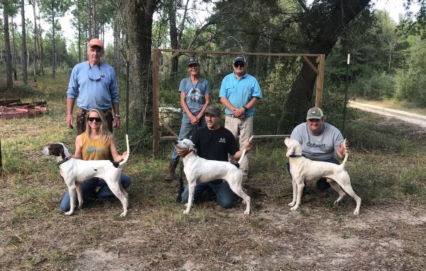 Spencer Farms Ama Shooting DogF23-