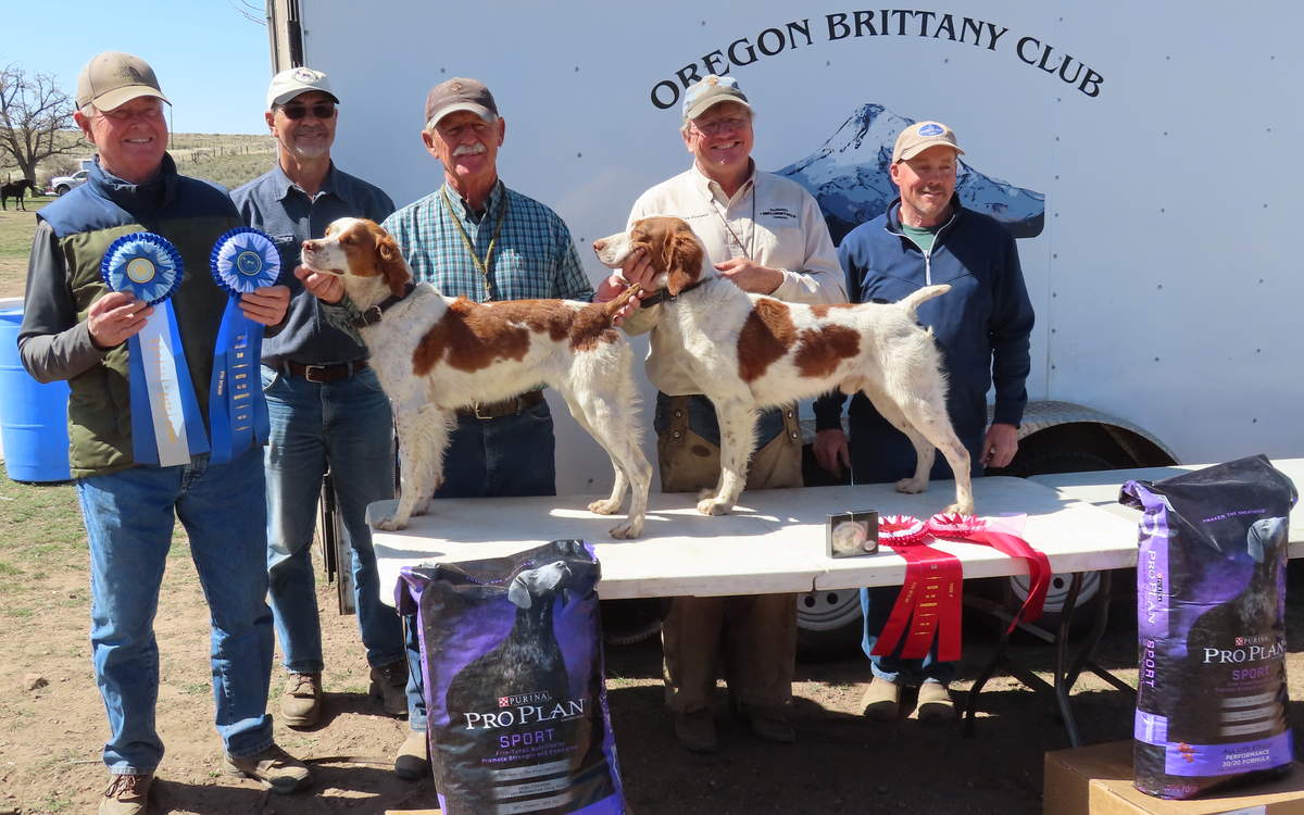 The Winners. From left to right: Tom White, Judge Mark Shearman, Paul Doiron with M T B Louree's Let's Have a Fee Esta; Joe Gower with S R's Blew By Typhoon; and Judge Rick Axtell