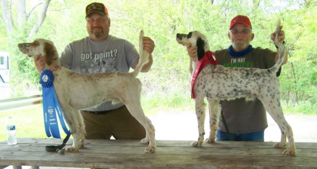 Open Horseback Puppy Stake Winners